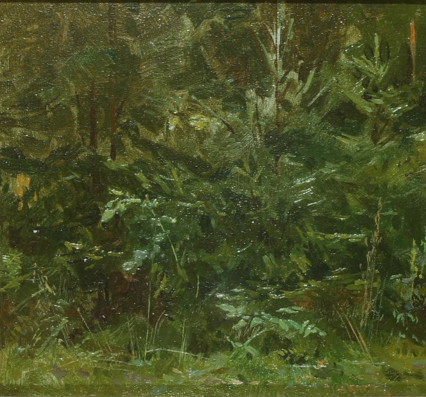 Forest