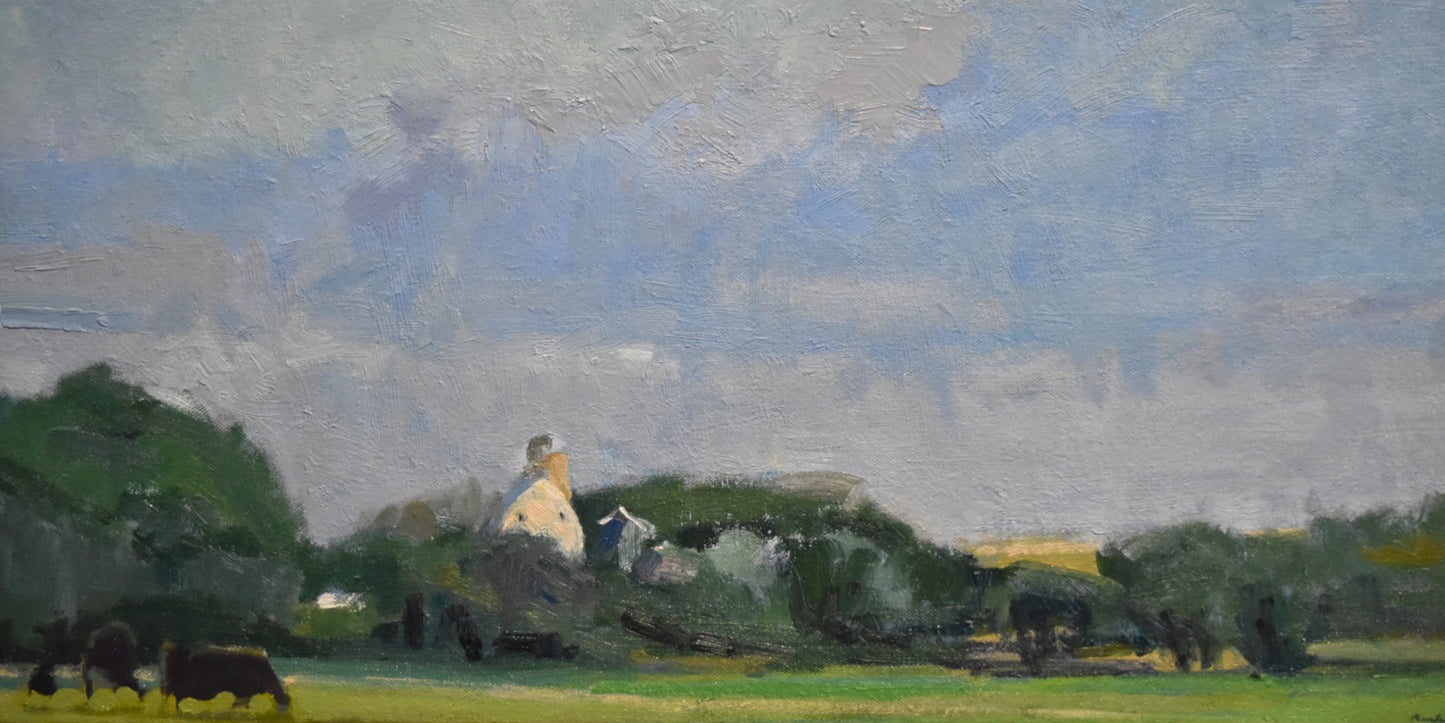 3 Cows and Blue Skies