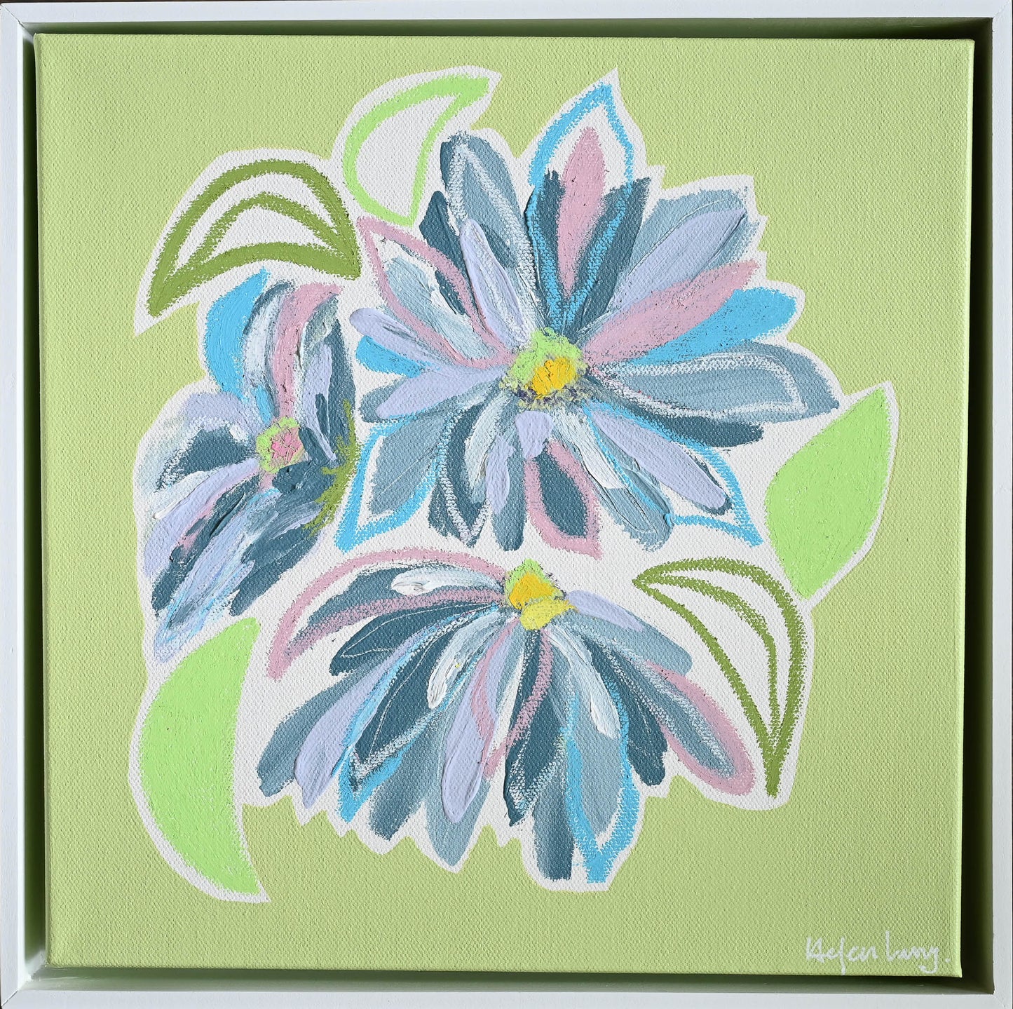 Blue Aster