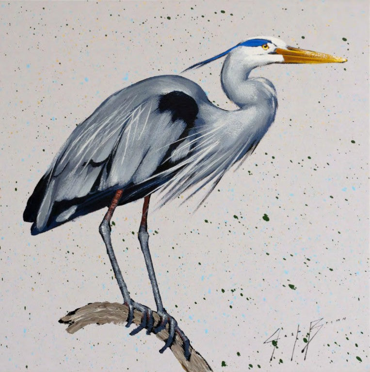 Blue Heron