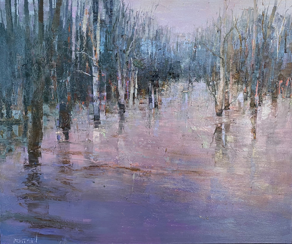 Winter Duck Pond