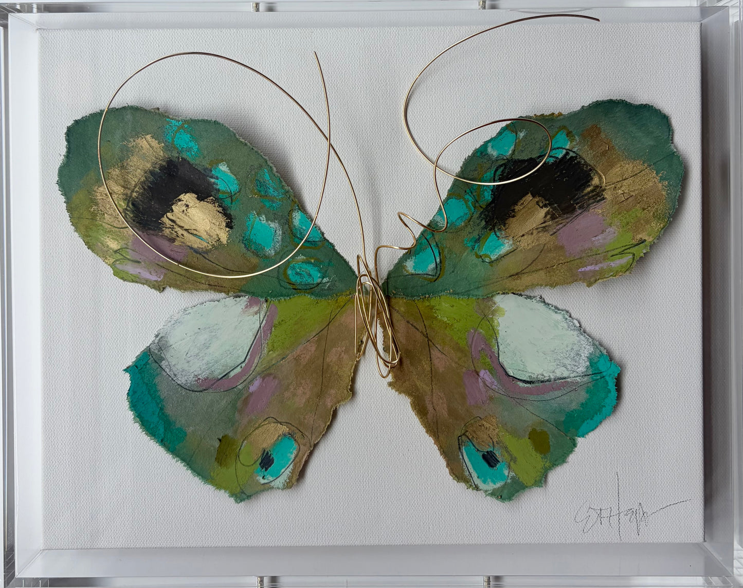 Butterfly Taxidermy 4