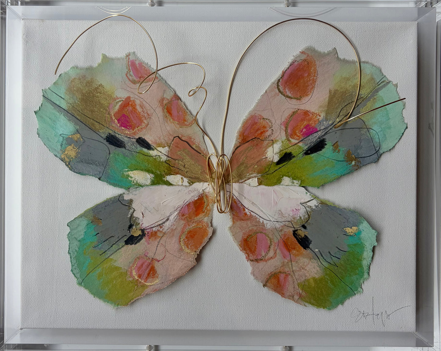 Butterfly Taxidermy 5