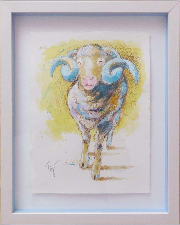 City Ram