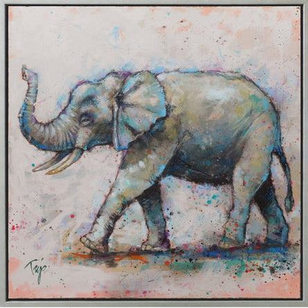 Cool Elephant