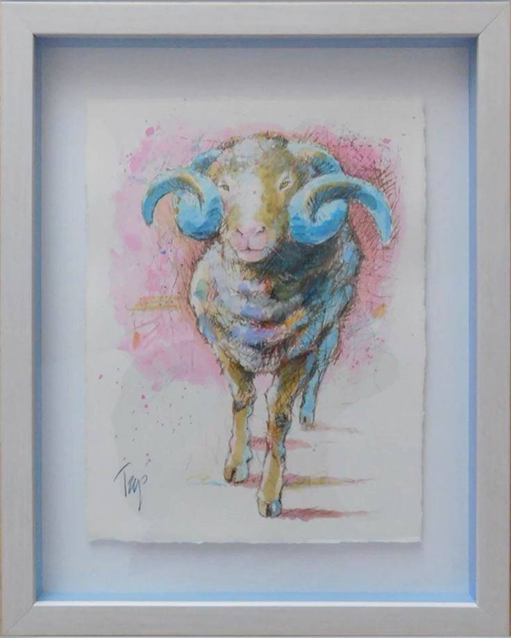 Country Ram