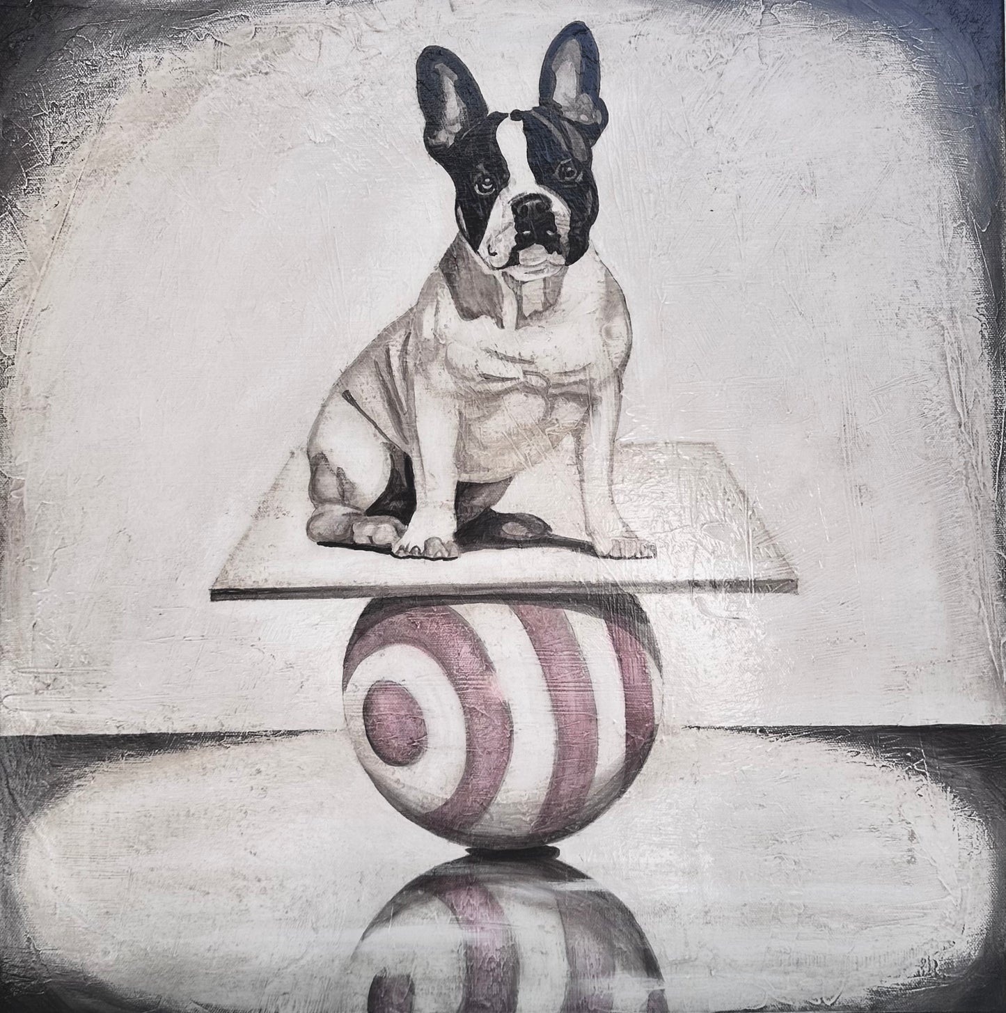 Dog on a Ball 111