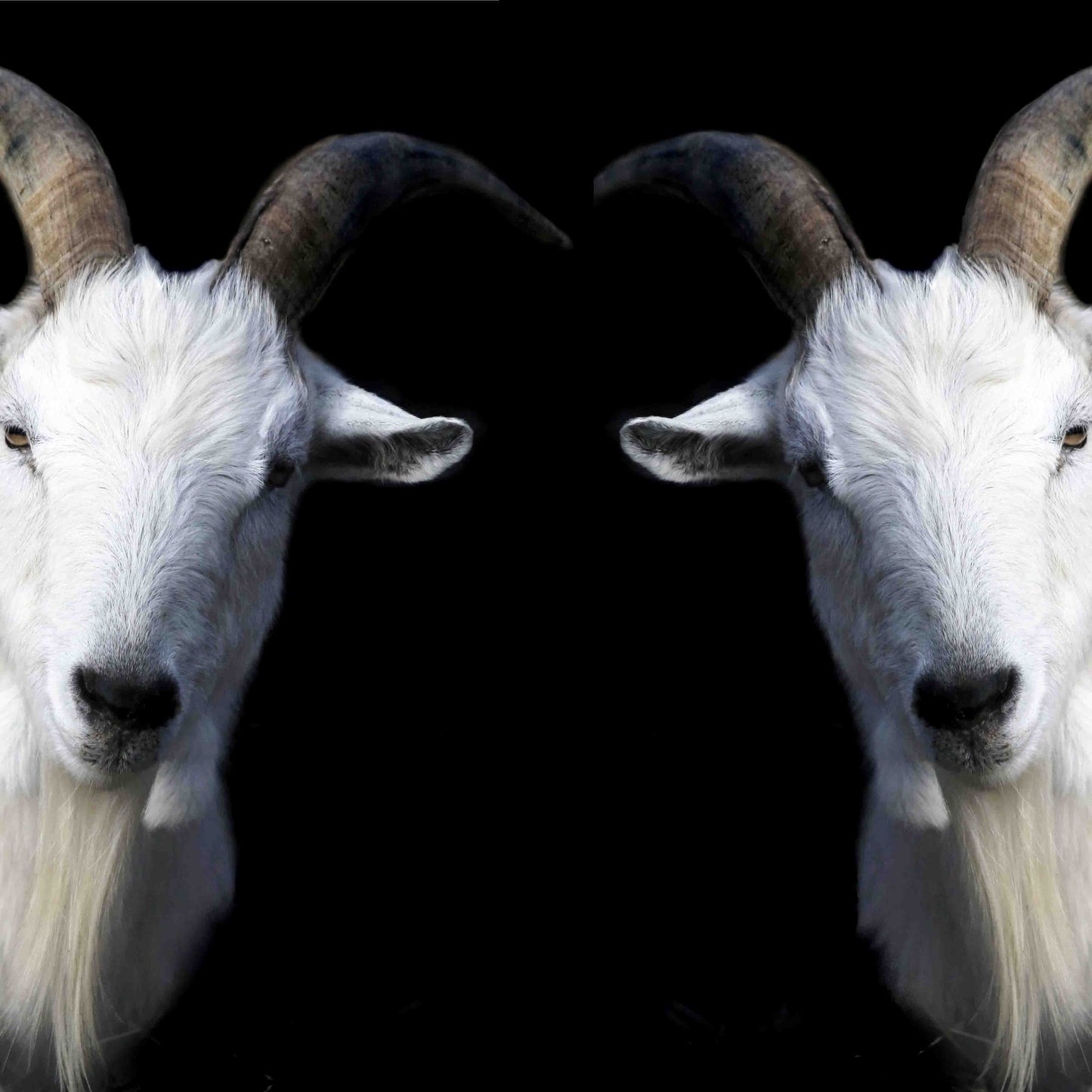Double Trouble