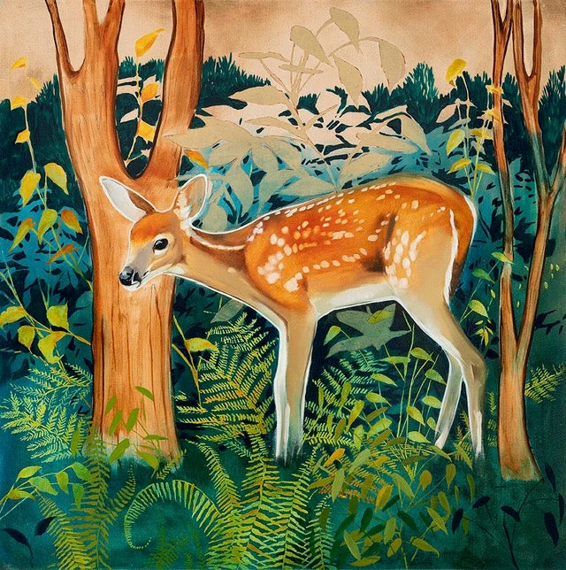 Fawn