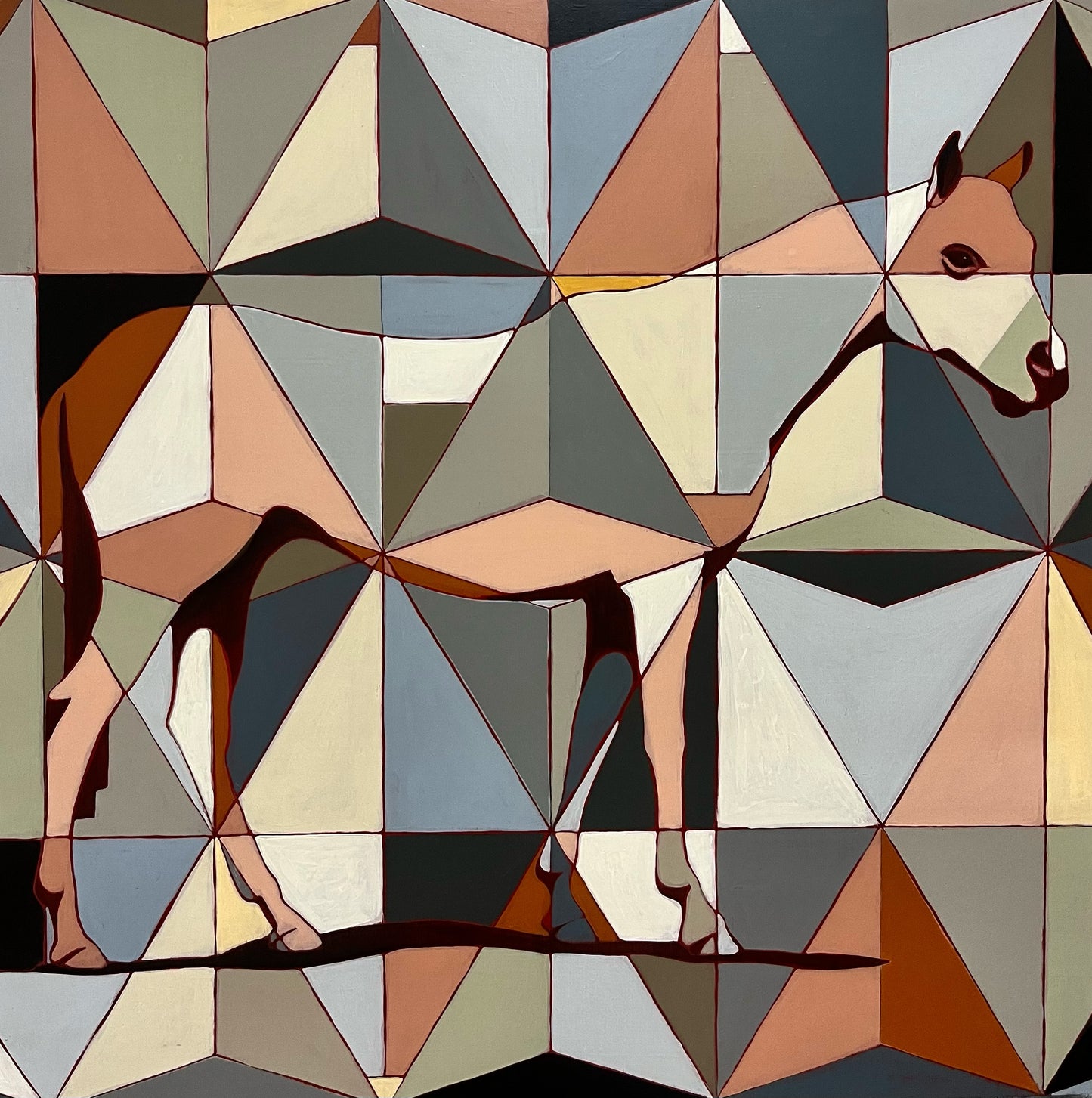 Horse 645