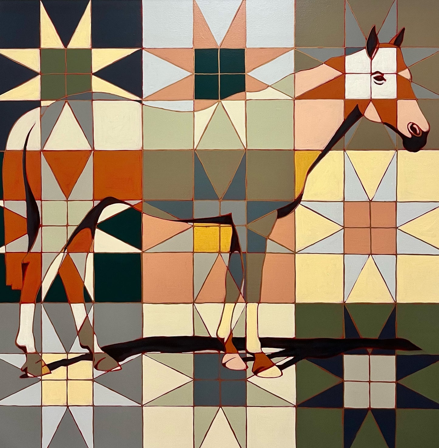 Horse 648