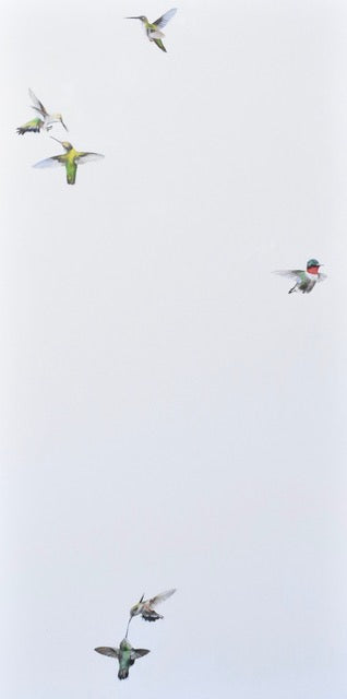 Hummingbird in Flight I