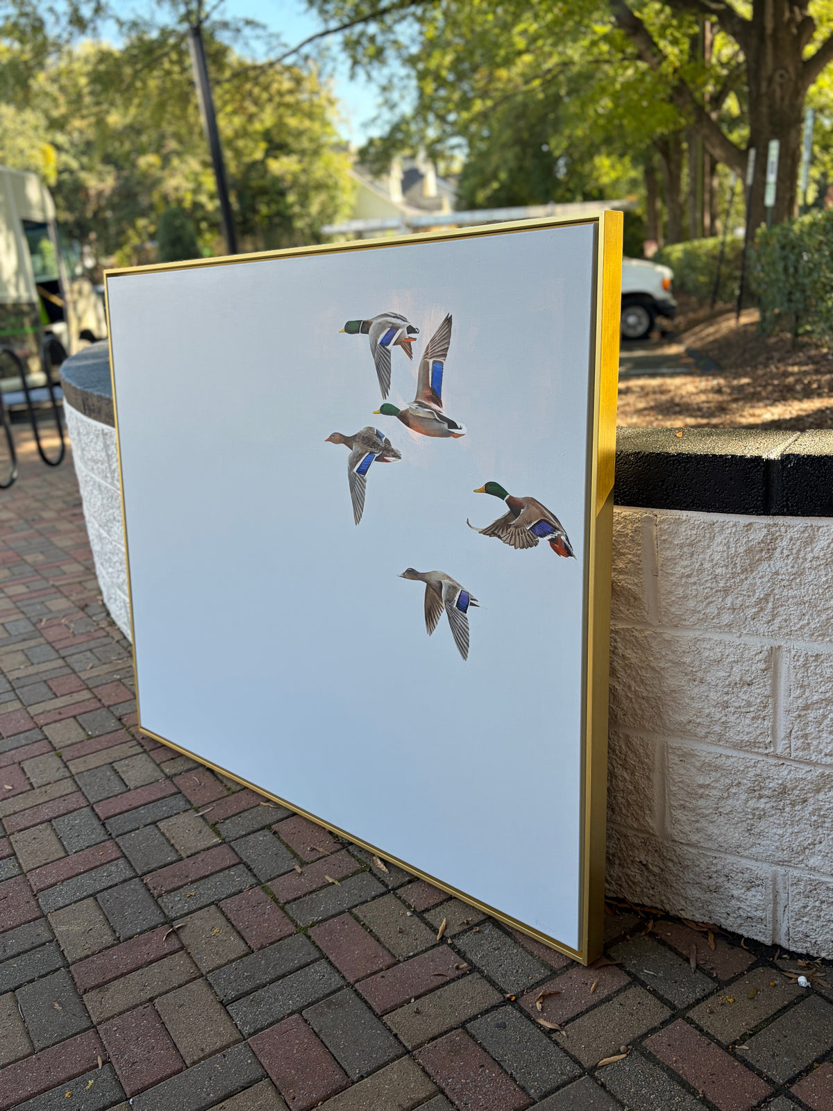 Ducks