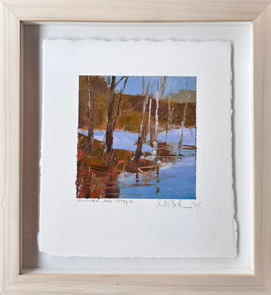 Mountain Lake Study