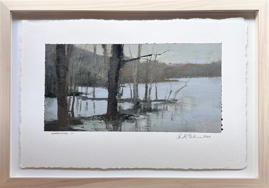 Watershed Study III