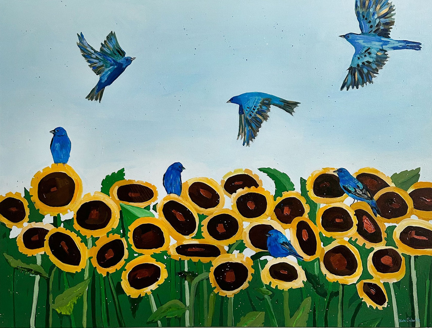 Indigo Bunting in the Sunflower Field