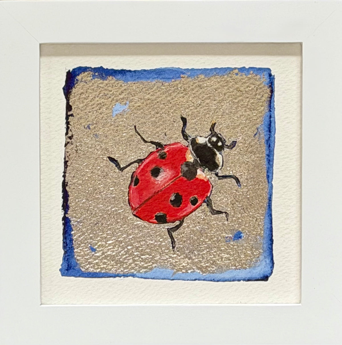 Ladybug I