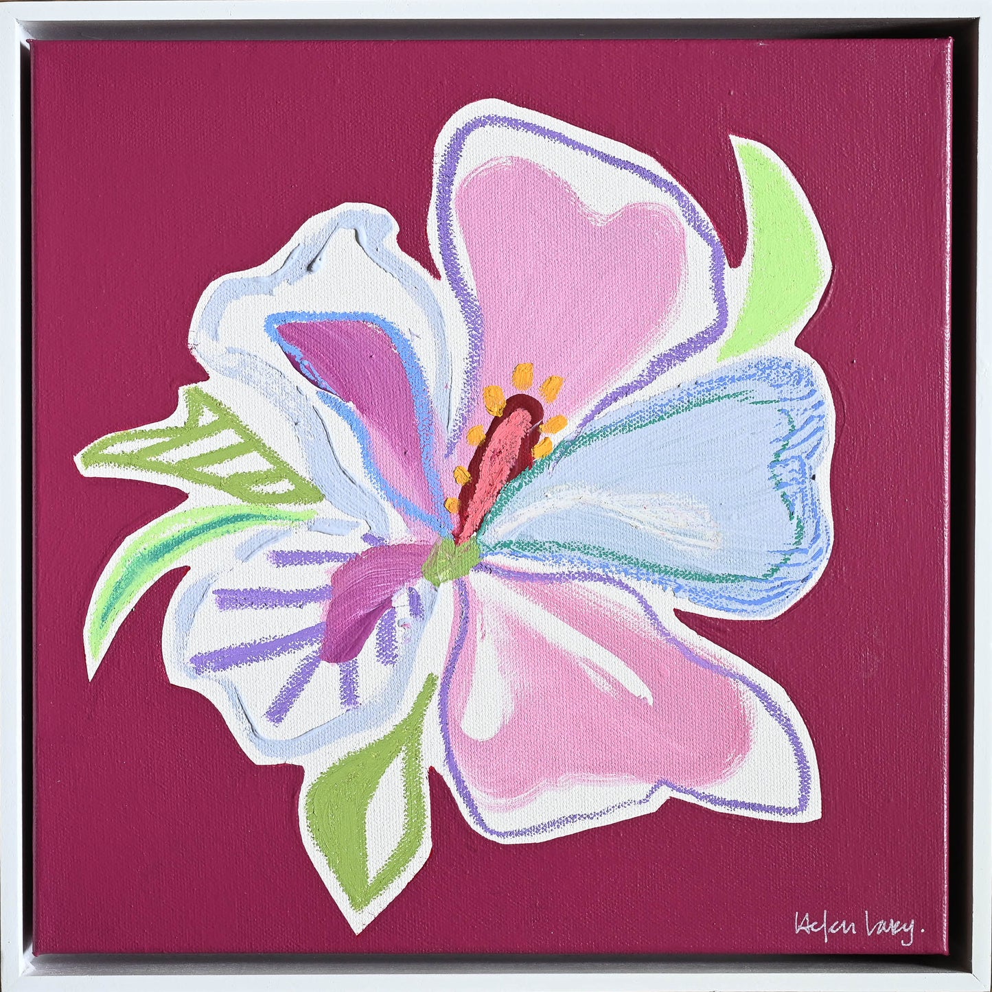 Mulberry Hibiscus