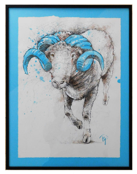Ordinary Ram