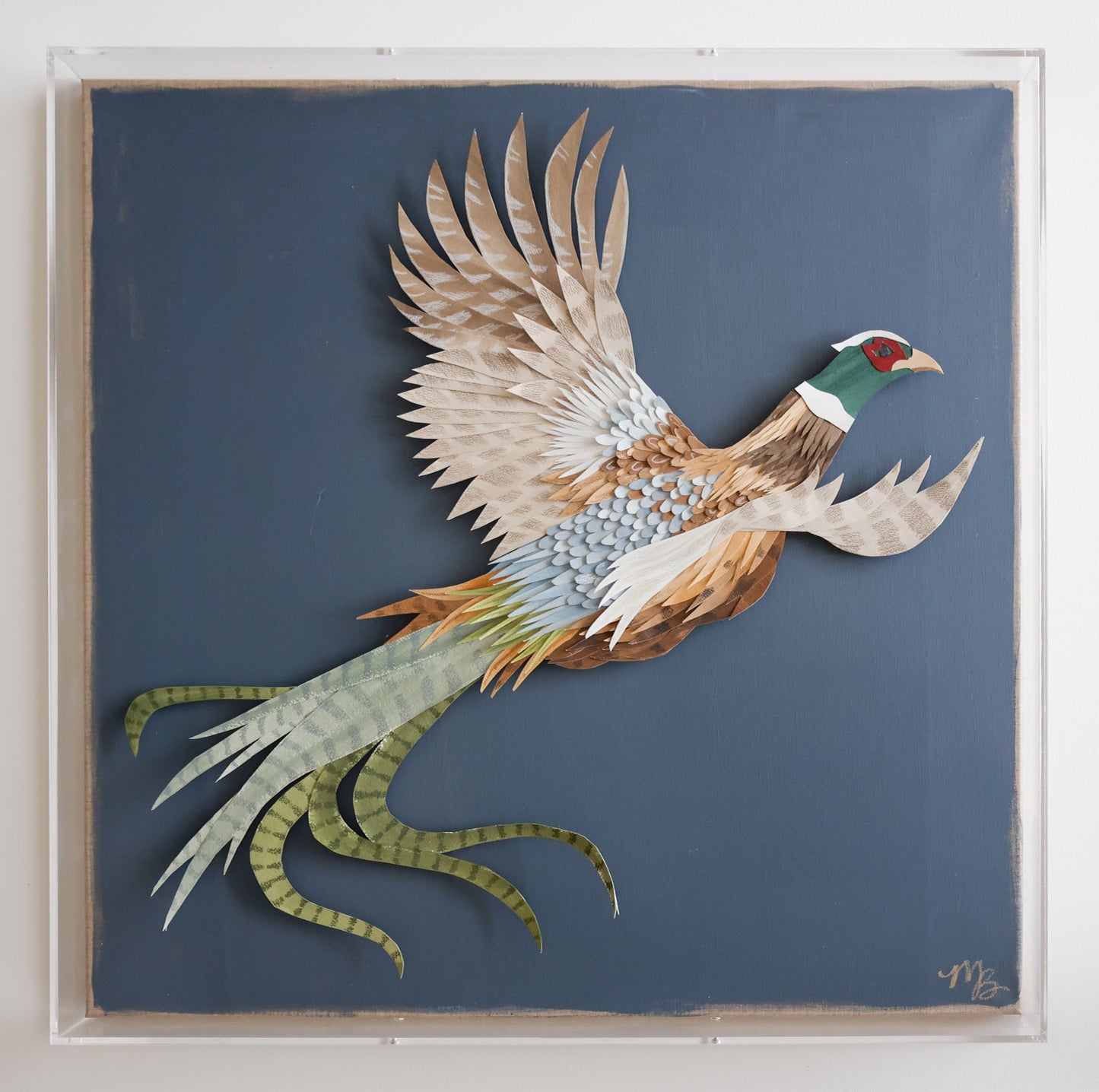 Plumage 2