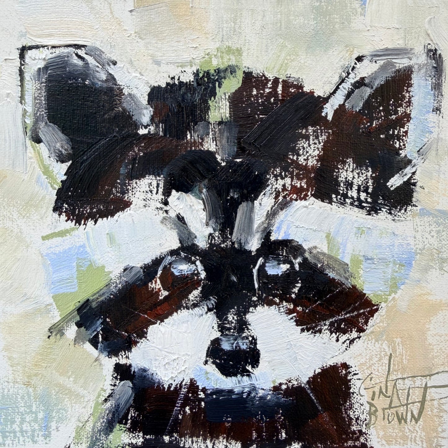 Raccoon