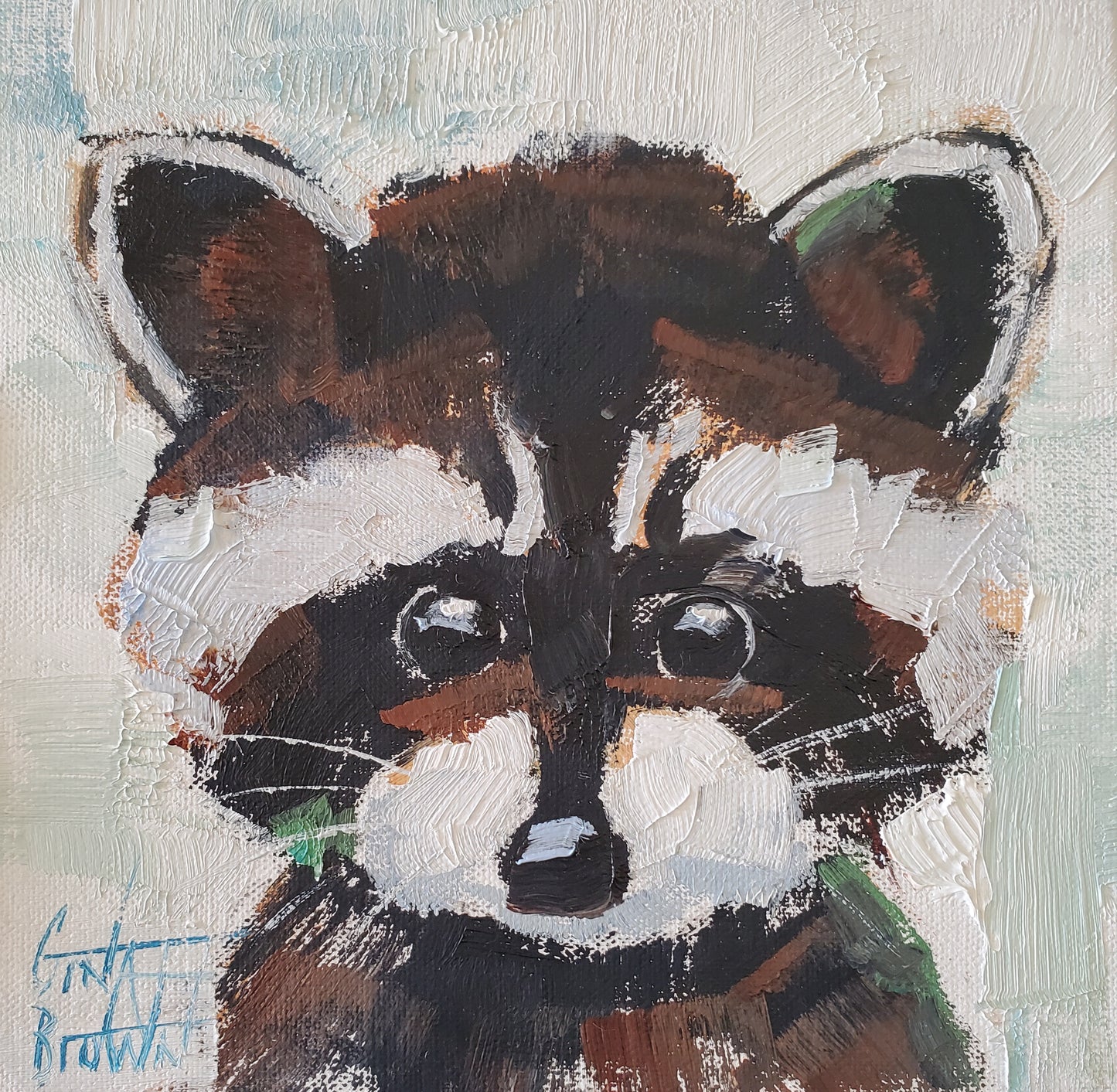 Raccoon