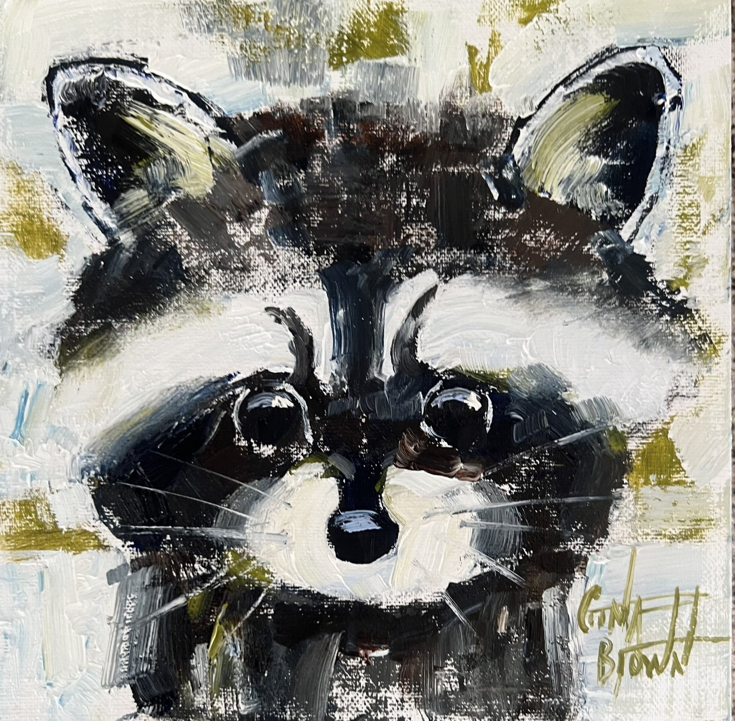 Raccoon