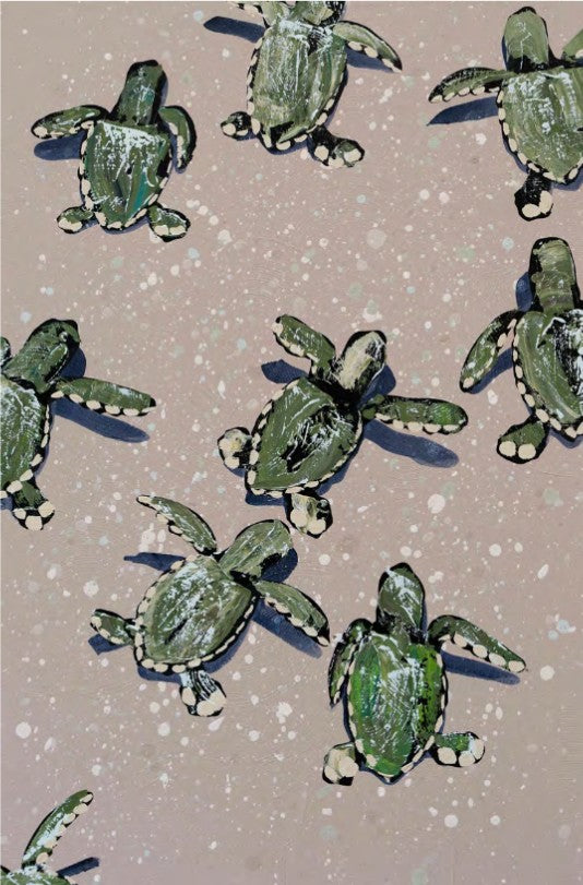 Sea Turtles on Cream Sprinkles