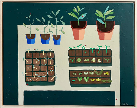 Seedlings Growing in the Sun