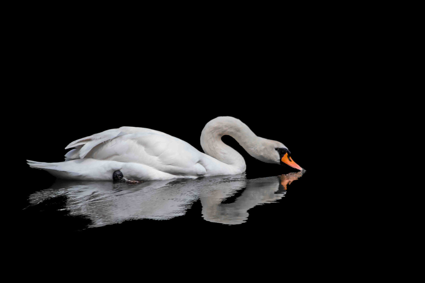 Serenity