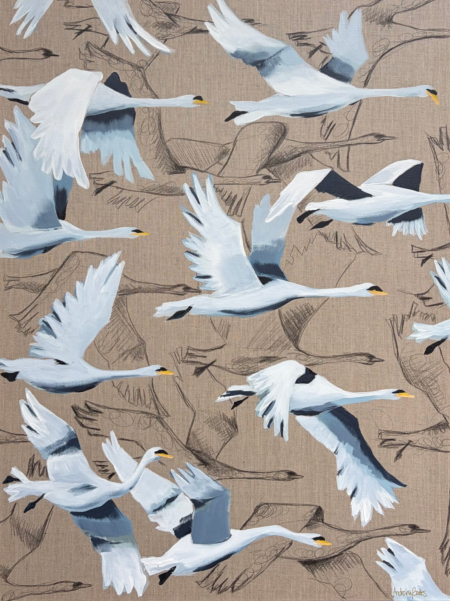 Threads of Flight 2