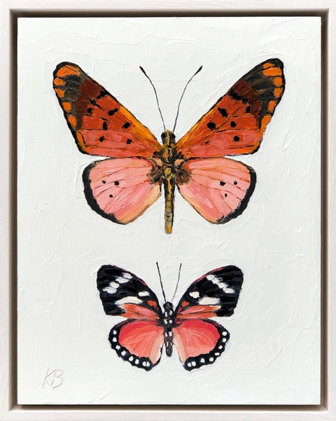 Vermillion Papilio