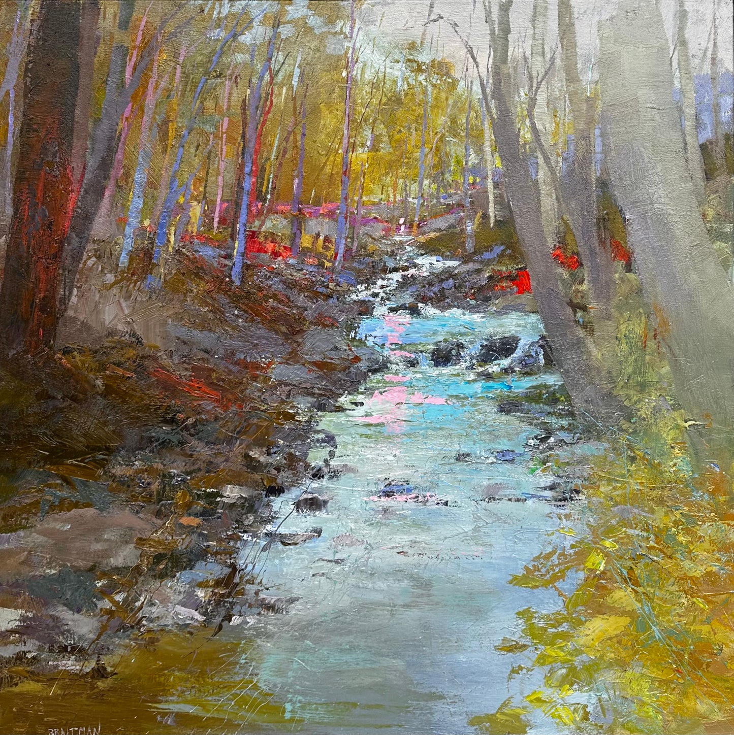 Watuga River