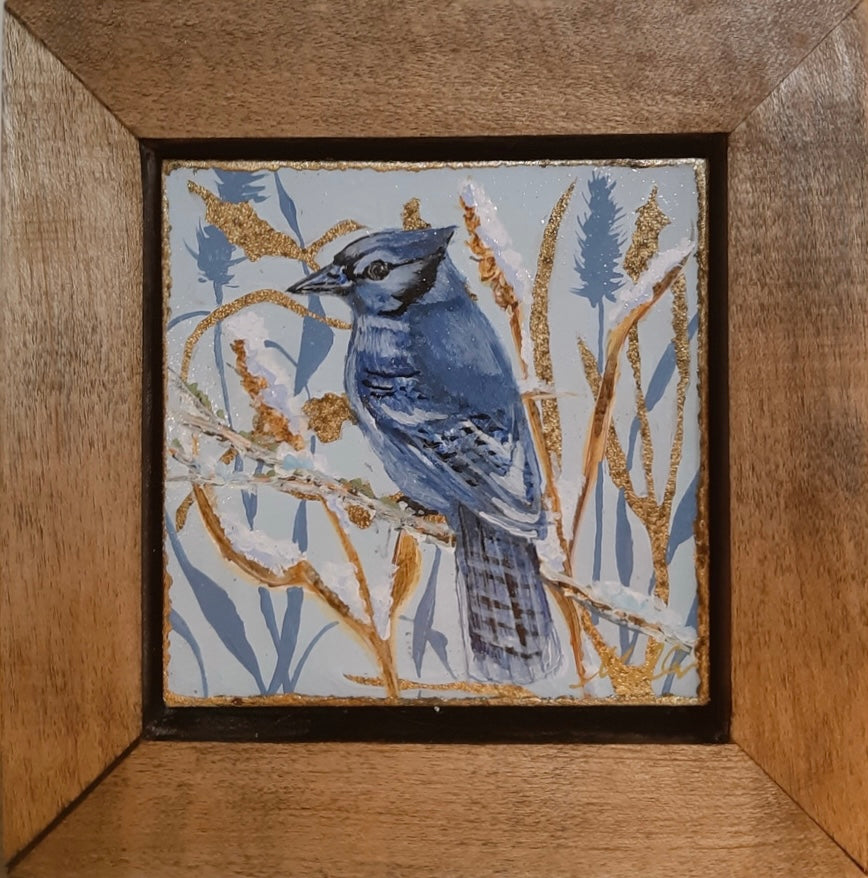 Winter Friends: Blue Jay