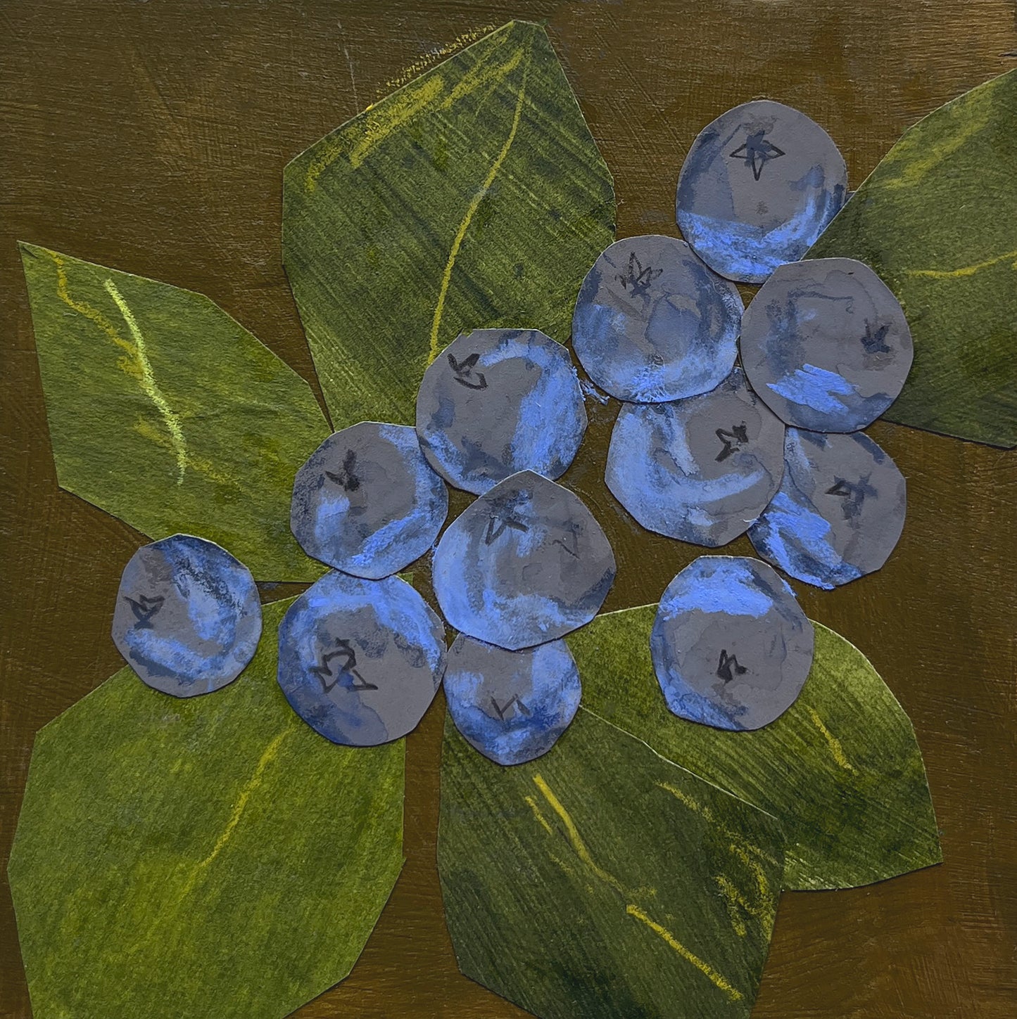 Blueberry Study