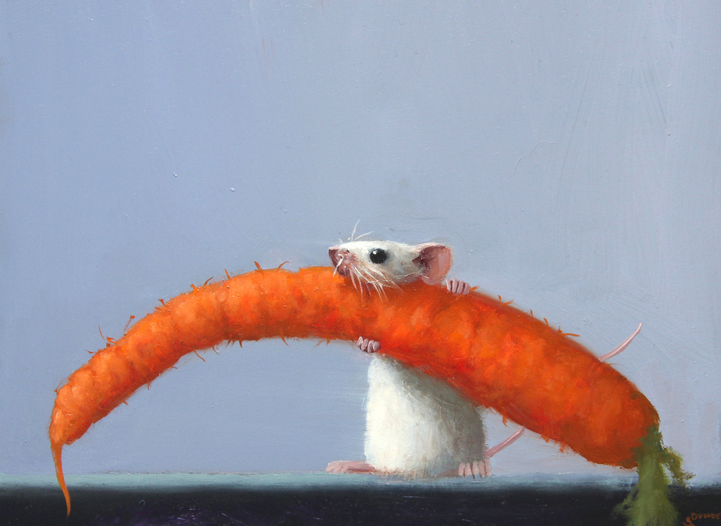 Carrot Shopping