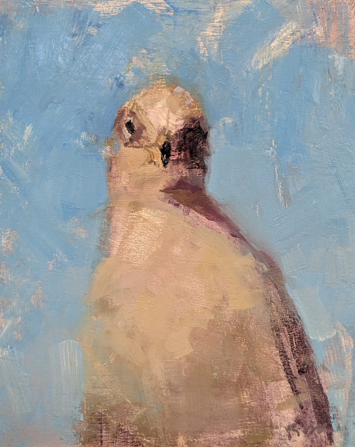 Gull's Edges