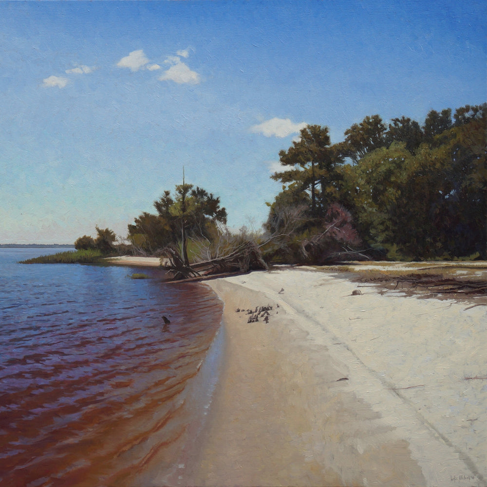 Collections – Shain Gallery