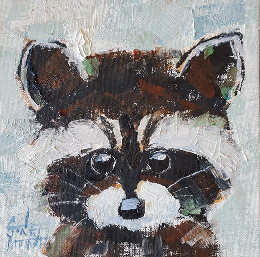 Raccoon