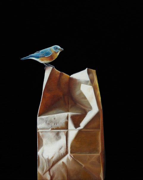 A Single Bluebird