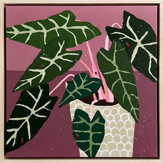 Alocasia Pink Dragon Houseplant