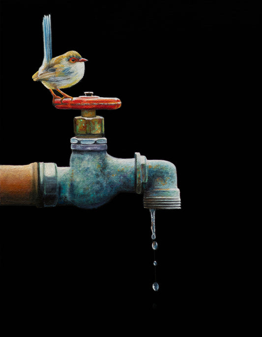 Aquifer