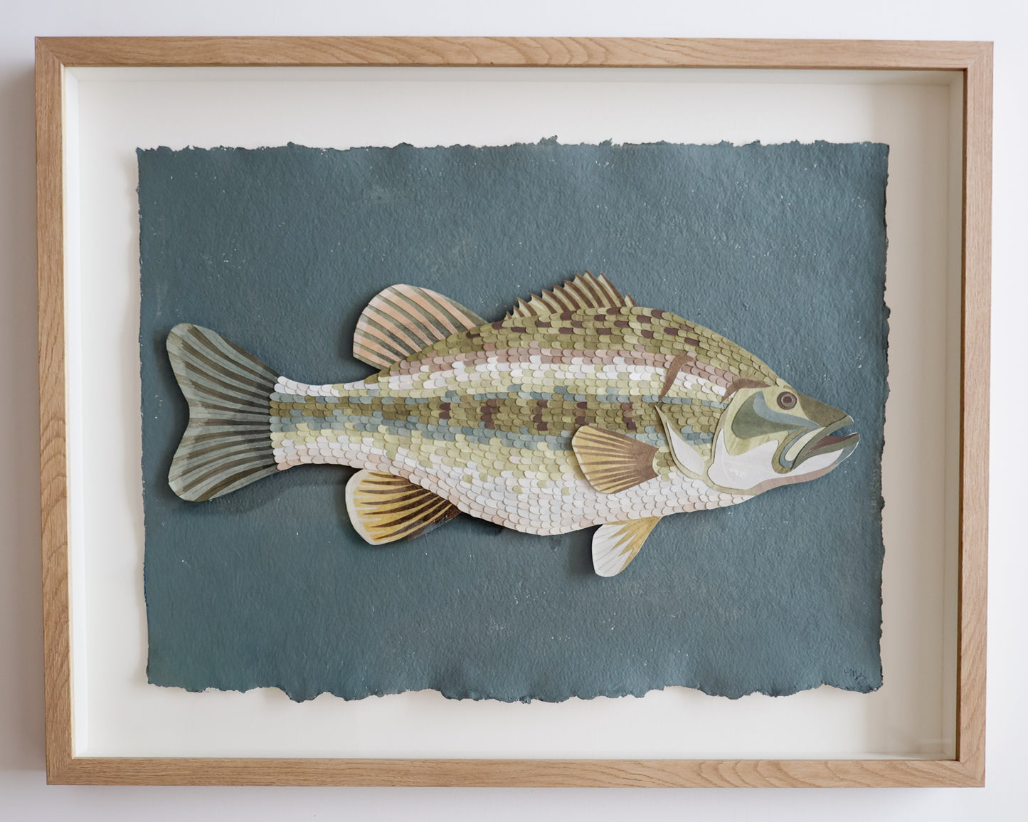Bass Fish 1