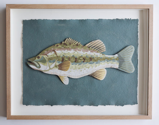 Bass Fish 2