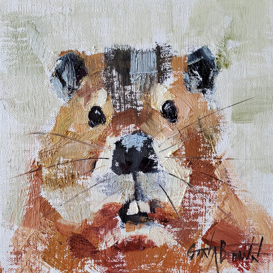 Beaver