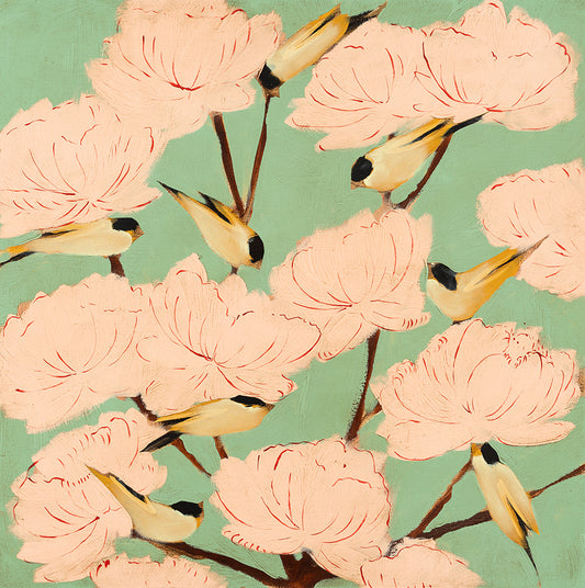 Blossoms and Finches