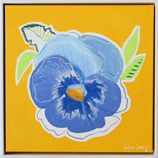 Blue Pansy