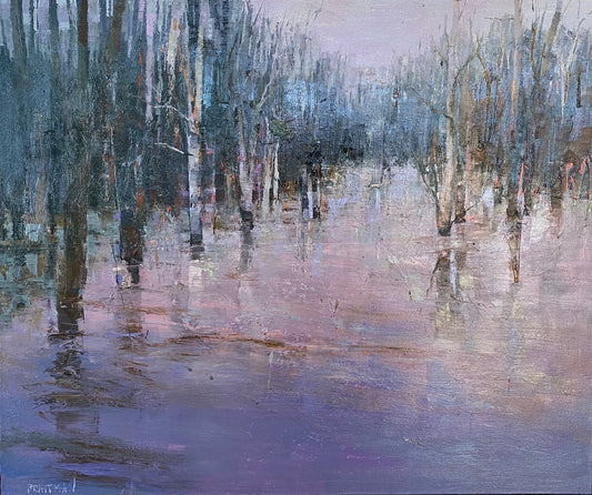 Winter Duck Pond