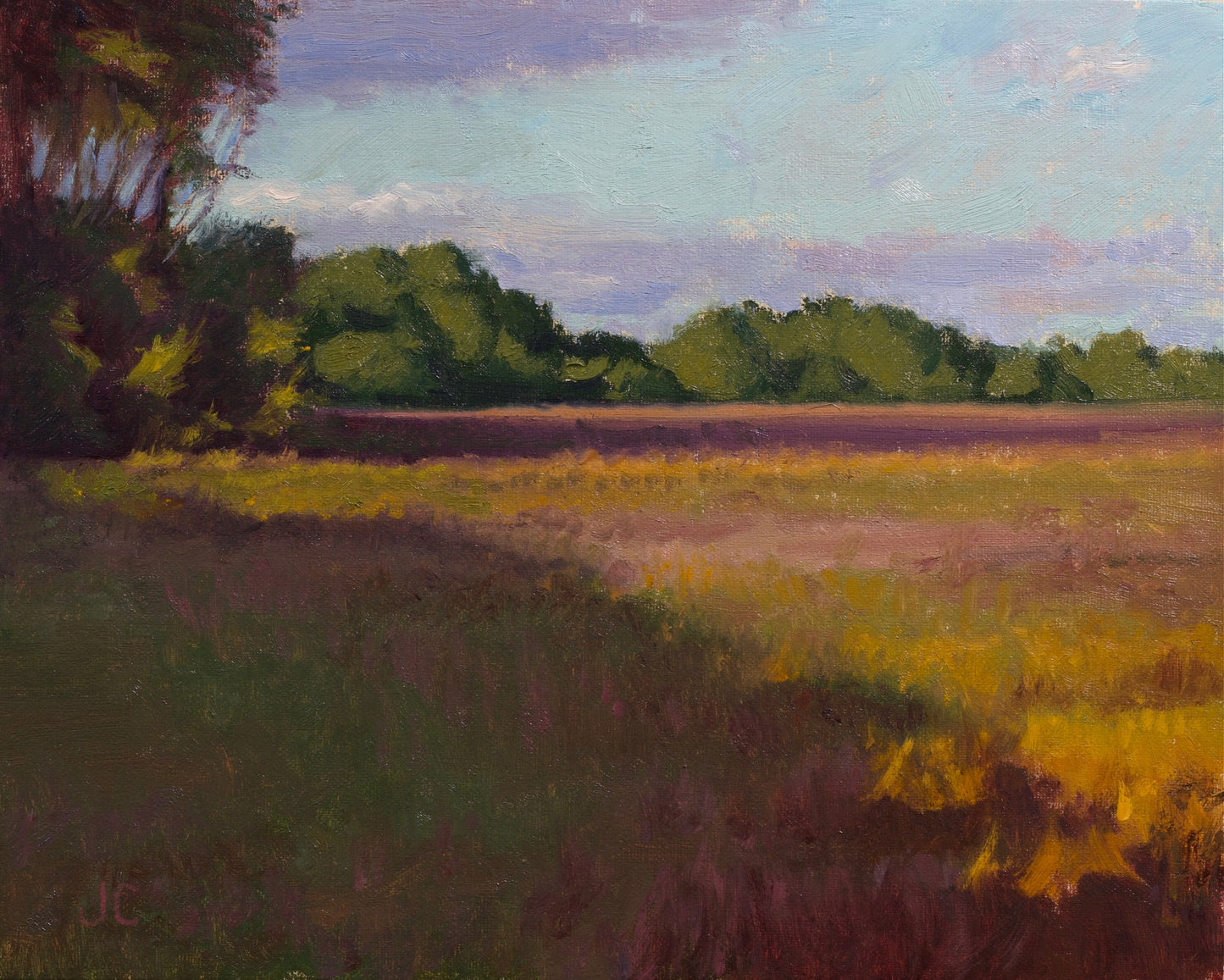 Broomsedge Golden Light 1