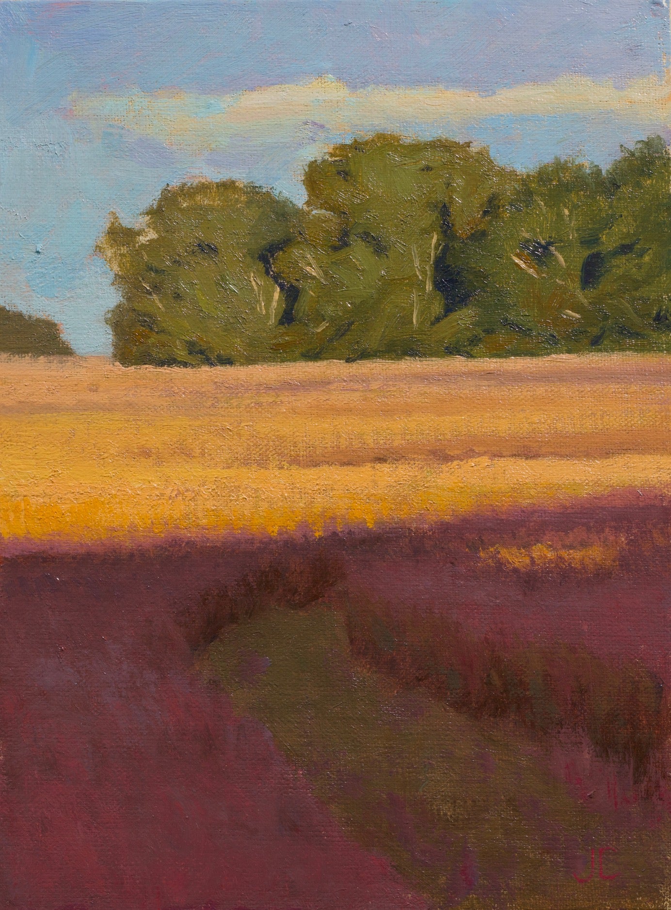 Broomsedge Golden Light 3